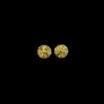 Radiant Whirling Petal Engraved Gold Stud Earrings