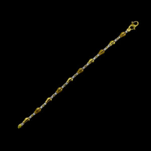 GP000257 GP000257
