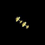 Midnight Black Stone Daisy Gold Studs