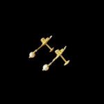 Divine Lakshmi Twin Coin Pearl Drop Gold Earrings