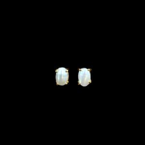 GP000571 GP000571