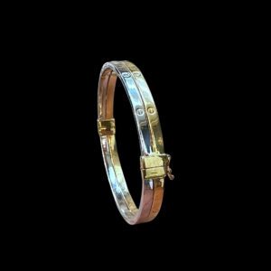 Elegant Double-Row Screw White Gold Bangle