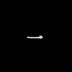 GP000900 GP000900