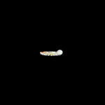 GP000901 GP000901