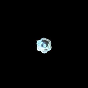 GP0001315 GP0001315