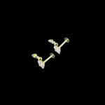 GP0001597 GP0001597