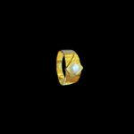 GP0001629 GP0001629