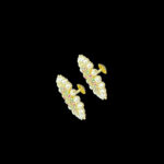 GP0001781 GP0001781