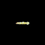 GP0002025 GP0002025