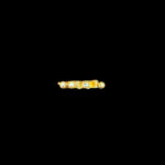 GP0002038 GP0002038