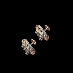 Divine Lakshmi Silver Stud Earrings II