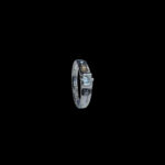 GP0001804 GP0001804