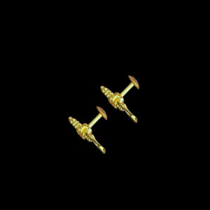 Divine Lakshmi Kasu Coin Ruby Gold Stud Earrings