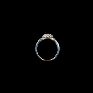 Dainty Tortoise White Gold & Diamond Ring
