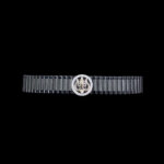 GP0002578 GP0002578