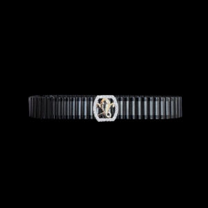 GP0002581 GP0002581
