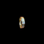 GP0002585 GP0002585