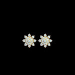 Radiant Diamond Floral Star Stud Earrings II
