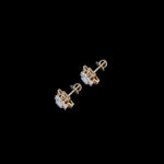 Radiant Diamond Star Stud Earrings