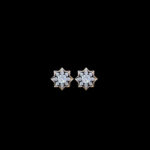 Radiant Diamond Star Stud Earrings