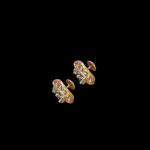 Divine Lakshmi Silver Stud Earrings