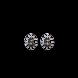 Divine Lakshmi Silver Stud Earrings