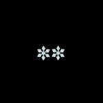 Dainty Diamond Frost Snowflake Stud Earrings