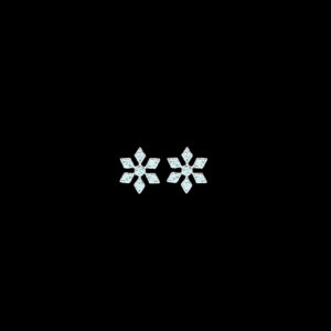 Dainty Diamond Frost Snowflake Stud Earrings