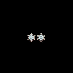 Dainty Diamond Six-Point Star Rose Gold Stud Earrings
